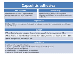 Capsulitis adhesiva
tratamiento
1.- aliviar el dolor. Es posible infiltración.
2.- reposo + ejercicios de mejora arcos de movimiento (pendulares de Codman)
3.- si mejora: ejercicios más agresivos
4.- reevaluar cada 2-3 meses los arcos de movimiento
5.- puede ser efectivo tanda corta de corticoides orales
fisiopatologia
Retracción fibrosa capsular con componente
inflamatorio inicial, postrior retracción y recuperación
en 2-3 años
CLINICA
1ª fase. Dolor difuso, severo , peor durante la noche, que limita los movimientos 2-9 m
2ª fase. Pérdida de movilidad de predominio abd y rot ext, mientras que mejora el dolor 4-12 m
3ª fase. Recuperación movilidad 5-24m
PREDISPONEN
Diabetes mellitus, hiper o hipotiroidismo,
Periodo inmovilización largo por trauma
exploración
Difícil por el dolor a mínimos movimientos pasivos. Reducción mov activos y pasivos, los test isométricos son
menos dolorosos
 