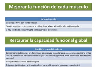 Mejorar la función de cada músculo
fortalecimiento
Ejercicios activos con banda elástica
Ejercicios activos contra resistencia (si hay dolor a la movilización, afectación articular)
Si hay tendinitis, insistir mucho en los ejercicios excéntricos
Equilibrio y estabilizadores
Compensar si detectamos predominio de algún grupo muscular para conseguir un equilibrio en las
fuerzas y realización de los movimientos (p.e. Pectoral muy potente fente a debilidad de rotadores
externos)
Trabajar estabilizadores de la escápula
Trabajar estabilizadores articulación gleno humeral (manguito rotadores en conjunto)
Restaurar la capacidad funcional global
 