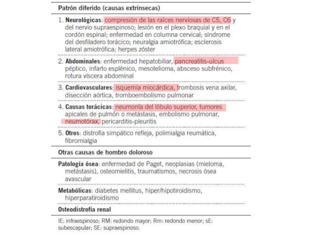 BLJS Coj/ín de Hombro Suave del cintur/ón de Seguridad de la Felpa Cubierta de Las hombreras del cintur/ón de Seguridad del Coche de 2 Paquetes para Todo el Coche