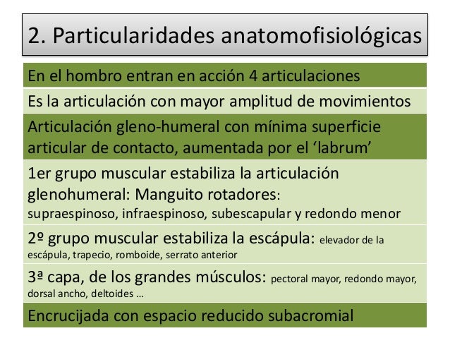 BLJS Coj/ín de Hombro Suave del cintur/ón de Seguridad de la Felpa Cubierta de Las hombreras del cintur/ón de Seguridad del Coche de 2 Paquetes para Todo el Coche