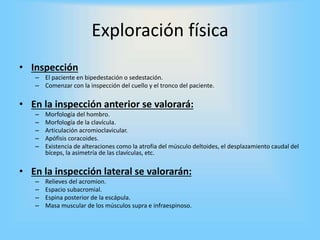 Exploración física
• Inspección
– El paciente en bipedestación o sedestación.
– Comenzar con la inspección del cuello y el tronco del paciente.
• En la inspección anterior se valorará:
– Morfología del hombro.
– Morfología de la clavícula.
– Articulación acromioclavicular.
– Apófisis coracoides.
– Existencia de alteraciones como la atrofia del músculo deltoides, el desplazamiento caudal del
bíceps, la asimetría de las clavículas, etc.
• En la inspección lateral se valorarán:
– Relieves del acromion.
– Espacio subacromial.
– Espina posterior de la escápula.
– Masa muscular de los músculos supra e infraespinoso.
 