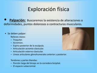 Exploración física
• Palpación: Buscaremos la existencia de alteraciones o
deformidades, puntos dolorosos o contracturas musculares.
• Se deben palpar:
Relieves óseos:
– Troquíter.
– Acromion.
– Espina posterior de la escápula.
– Articulación acromio-clavicular.
– Articulación esterno-clavicular.
– Líneas articulares glenohumerales anterior y posterior.
Tendones y partes blandas:
– Porción larga del bíceps en la corredera bicipital.
– El espacio subacromial.
 