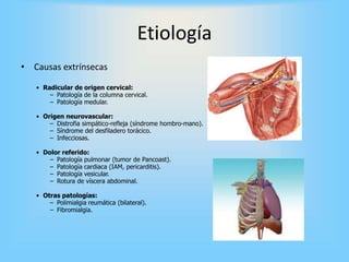 Etiología
• Causas extrínsecas
• Radicular de origen cervical:
– Patología de la columna cervical.
– Patología medular.
• Origen neurovascular:
– Distrofia simpático-refleja (síndrome hombro-mano).
– Síndrome del desfiladero torácico.
– Infecciosas.
• Dolor referido:
– Patología pulmonar (tumor de Pancoast).
– Patología cardiaca (IAM, pericarditis).
– Patología vesicular.
– Rotura de víscera abdominal.
• Otras patologías:
– Polimialgia reumática (bilateral).
– Fibromialgia.
 