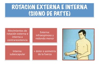 ROTACIÓN EXTERNA E INTERNA
(SIGNO DE PATTE)
Movimientos	
  de	
  
rotación	
  externa	
  e	
  
interna	
  a	
  
contraresistencia	
  
Externa:	
  
infraespinoso	
  y	
  
redondo	
  menor	
  
Interna:	
  
subescapular	
  
+	
  dolor	
  o	
  asimetría	
  
de	
  la	
  fuerza	
  
 