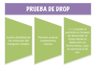 PRUEBA DE DROP
Evalúa	
  debilidad	
  de	
  
los	
  músculos	
  del	
  
manguito	
  rotador.	
  
Permite	
  evaluar	
  
compromiso	
  
masivo	
  
(	
  +	
  )	
  cuando	
  el	
  
paciente	
  es	
  incapaz	
  
de	
  descender	
  el	
  
brazo	
  desde	
  la	
  
abducción	
  en	
  
forma	
  lenta,	
  y	
  por	
  
el	
  contrario	
  la	
  EE	
  
cae.	
  
 