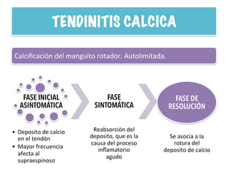 TENDINITIS CALCICA
Calciﬁcación	
  del	
  manguito	
  rotador.	
  Autolimitada.	
  
FASE INICIAL
ASINTOMÁTICA
•  Deposito	
  de	
  calcio	
  
en	
  el	
  tendón	
  	
  
•  Mayor	
  frecuencia	
  
afecta	
  al	
  
supraespinoso	
  
FASE
SINTOMÁTICA
Reabsorción	
  del	
  
deposito,	
  que	
  es	
  la	
  
causa	
  del	
  proceso	
  
inﬂamatorio	
  
agudo	
  
FASE DE
RESOLUCIÓN
Se	
  asocia	
  a	
  la	
  
rotura	
  del	
  
deposito	
  de	
  calcio	
  
 