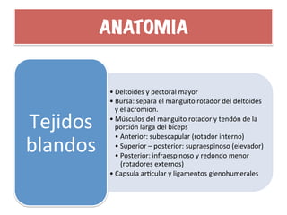ANATOMIA	
  
• Deltoides	
  y	
  pectoral	
  mayor	
  
• Bursa:	
  separa	
  el	
  manguito	
  rotador	
  del	
  deltoides	
  
y	
  el	
  acromion.	
  
• Músculos	
  del	
  manguito	
  rotador	
  y	
  tendón	
  de	
  la	
  
porción	
  larga	
  del	
  bíceps	
  
• Anterior:	
  subescapular	
  (rotador	
  interno)	
  
• Superior	
  –	
  posterior:	
  supraespinoso	
  (elevador)	
  
• Posterior:	
  infraespinoso	
  y	
  redondo	
  menor	
  
(rotadores	
  externos)	
  
• Capsula	
  arHcular	
  y	
  ligamentos	
  glenohumerales	
  
Tejidos	
  
blandos	
  
 
