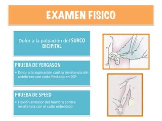 EXAMEN FISICO
Dolor	
  a	
  la	
  palpación	
  del SURCO
BICIPITAL
PRUEBA DE YERGASON
• Dolor	
  a	
  la	
  supinación	
  contra	
  resistencia	
  del	
  
antebrazo	
  con	
  codo	
  ﬂectado	
  en	
  90º	
  
PRUEBA DE SPEED
• Flexión	
  anterior	
  del	
  hombro	
  contra	
  
resistencia	
  con	
  el	
  codo	
  extendido	
  
 