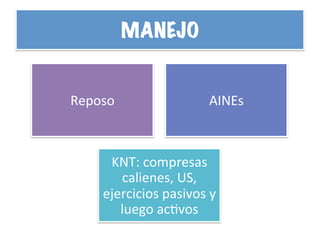 MANEJO
Reposo	
   AINEs	
  
KNT:	
  compresas	
  
calienes,	
  US,	
  
ejercicios	
  pasivos	
  y	
  
luego	
  acHvos	
  
 