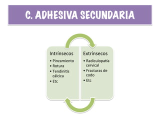 Intrínsecos	
  
• Pinzamiento	
  
• Rotura	
  
• TendiniHs	
  
cálcica	
  
• Etc	
  
Extrínsecos	
  
• Radiculopapa	
  
cervical	
  
• Fracturas	
  de	
  
codo	
  
• Etc	
  
C. ADHESIVA SECUNDARIA	
  
 