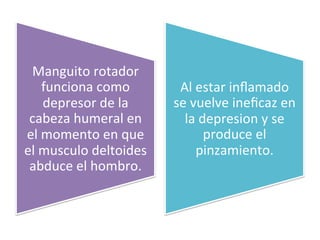 Manguito	
  rotador	
  
funciona	
  como	
  
depresor	
  de	
  la	
  
cabeza	
  humeral	
  en	
  
el	
  momento	
  en	
  que	
  
el	
  musculo	
  deltoides	
  
abduce	
  el	
  hombro.	
  
Al	
  estar	
  inﬂamado	
  
se	
  vuelve	
  ineﬁcaz	
  en	
  
la	
  depresion	
  y	
  se	
  
produce	
  el	
  
pinzamiento.	
  
 