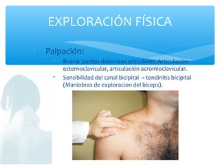 
Palpación:

Buscar puntos dolorosos articulares: Articulación
esternoclavicular, articulación acromioclavicular.

Sensibilidad del canal bicipital tendinitis bicipital→
(Maniobras de exploracion del biceps).
EXPLORACIÓN FÍSICA
 