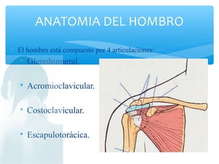 
El hombro está compuesto por 4 articulaciones:

Glenohumeral.

Acromioclavicular.

Costoclavicular.

Escapulotorácica.
ANATOMIA DEL HOMBRO
 
