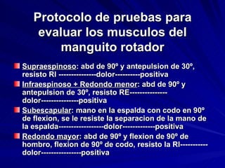Protocolo de pruebas para evaluar los musculos del manguito rotador Supraespinoso : abd de 90º y antepulsion de 30º, resisto RI ---------------dolor----------positiva Infraespinoso + Redondo menor : abd de 90º y antepulsion de 30º, resisto RE---------------dolor---------------positiva Subescapular : mano en la espalda con codo en 90º de flexion, se le resiste la separacion de la mano de la espalda------------------dolor-------------positiva Redondo mayor : abd de 90º y flexion de 90º de hombro, flexion de 90º de codo, resisto la RI-----------dolor----------------positiva 