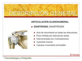 DESCRIPCIÓN GENERAL
                        ARTICULACIÓN GLENOHUMERAL

                           DIARTROSIS: ENARTROSIS

                               Arco de movimiento en todas las direcciones.
                               Poco inhibida por estructuras óseas.
                               Interconectada con 3 articulaciones
                               3 grandes huesos
                               3 grupos musculares principales



                                                                       El Hombro
Traumatología y Ortopedia
 