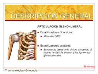 DESCRIPCIÓN GENERAL
                        ARTICULACIÓN GLENOHUMERAL

                           Estabilizadores dinámicos:
                               Músculos SIRS


                           Estabilizadores estáticos:
                               Estructuras óseas de la cintura escapular, el
                                rodete, la cápsula articular y los ligamentos
                                glenohumerales.



                                                                     El Hombro
Traumatología y Ortopedia
 