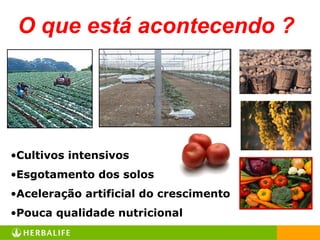 •Cultivos intensivos
•Esgotamento dos solos
•Aceleração artificial do crescimento
•Pouca qualidade nutricional
O que está acontecendo ?
 