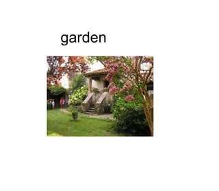 garden
 