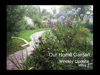 Our Home Garden Weekly Update Week 2 