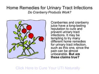 Home Remedies for Urinary Tract Infections Do Cranberry Products Work? ,[object Object],Click Here to Cure Your UTI Naturally 