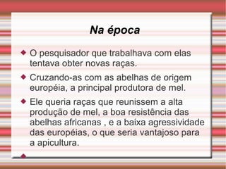 Na época
 O pesquisador que trabalhava com elas
tentava obter novas raças.
 Cruzando-as com as abelhas de origem
européia, a principal produtora de mel.
 Ele queria raças que reunissem a alta
produção de mel, a boa resistência das
abelhas africanas , e a baixa agressividade
das européias, o que seria vantajoso para
a apicultura.

 