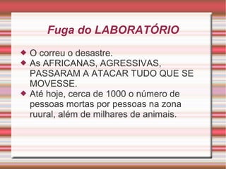 Fuga do LABORATÓRIO
 O correu o desastre.
 As AFRICANAS, AGRESSIVAS,
PASSARAM A ATACAR TUDO QUE SE
MOVESSE.
 Até hoje, cerca de 1000 o número de
pessoas mortas por pessoas na zona
ruural, além de milhares de animais.
 