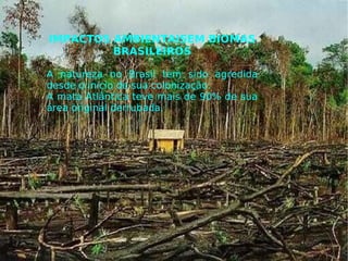 IMPACTOS AMBIENTAISEM BIOMAS
BRASILEIROS
A natureza no Brasil tem sido agredida
desde o inicio de sua colonização.
A mata Atlântica teve mais de 90% de sua
área original derrubada.
 