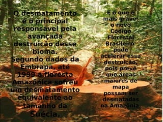 O desmatamento
é o principal
responsável pela
avançada
destruição desse
bioma.
Segundo dados da
Embrapa, até
1999 a floresta
Amazônica sofreu
um desmatamento
equivalente ao
tamanho da
Suécia.
E o que é
mais grave:
o novo
Código
Florestal
Brasileiro
pode
acelerar essa
destruição,
pois prevê
que áreas
maiores de
mapa
possam ser
desmatadas
na Amazônia.
 