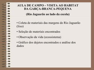 AULA DE CAMPO – VISITA AO HABITAT DA GARÇA-BRANCA-PEQUENA (Rio Jaguarão ao lado da escola) ,[object Object],[object Object],[object Object],[object Object]