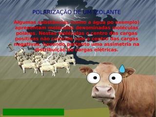 POLARIZAÇÃO DE UM IZOLANTE Algumas substâncias (como a água po exemplo) apresentam moléculas denominadas moléculas polares. Nestas moléculas o centro das cargas positivas não coincide com o centro das cargas negativas, havendo portanto uma assimetria na distribuição de cargas elétricas. 