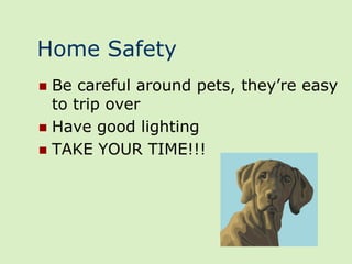 Home Safety
 Be careful around pets, they’re easy
  to trip over
 Have good lighting
 TAKE YOUR TIME!!!
 