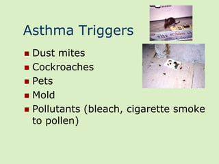 Asthma Triggers
 Dust mites
 Cockroaches
 Pets
 Mold
 Pollutants (bleach, cigarette smoke
  to pollen)
 
