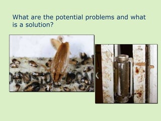 What are the potential problems and what
is a solution?
 