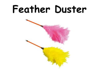 Feather Duster