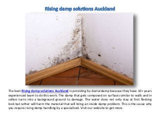 The best Rising damp solutions Auckland is providing by doctordamp because they have 10+ years
experienced team to do this work. The damp that gets composed on surfaces similar to walls and in
cellars turns into a background ground to damage. The water does not only stay at first fleeting
look but rather will harm the material that will bring an inside damp problem. This is the cause why
you require rising damp handling by a specialized. Visit our website to get more.
 
