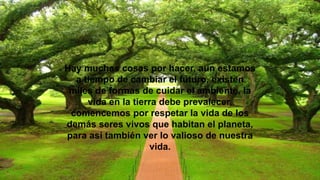 Hay muchas cosas por hacer, aun estamos
a tiempo de cambiar el futuro, existen
miles de formas de cuidar el ambiente, la
vida en la tierra debe prevalecer,
comencemos por respetar la vida de los
demás seres vivos que habitan el planeta,
para así también ver lo valioso de nuestra
vida.
 