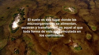 El suelo es ese lugar donde las
microorganismos se alimentan,
escavan y transforman, es aquel al que
toda forma de vida esta vinculada en
los continentes.
 