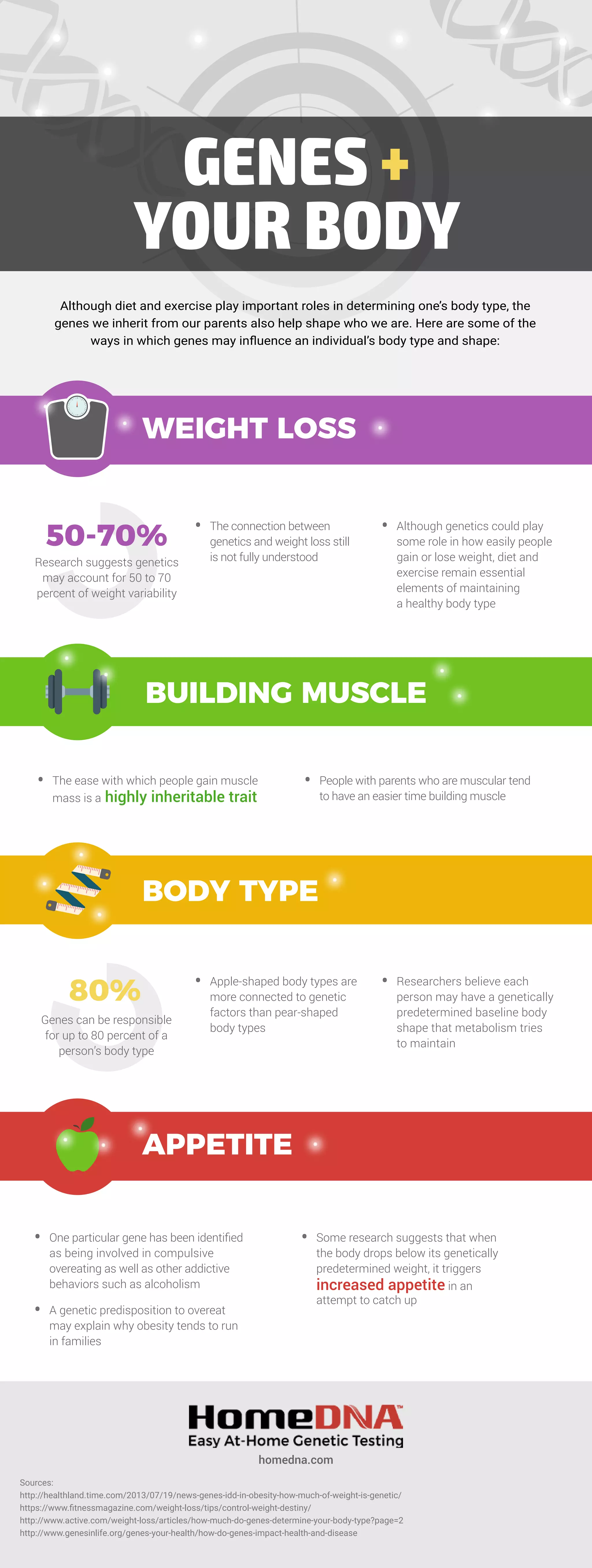 Myb Genes: Impact On Health, Disease, And Beyond - 42ov8zk