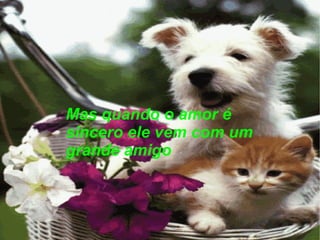 Mas quando o amor é sincero ele vem com um grande amigo 