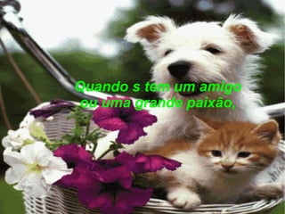 Quando s tem um amigo ou uma grande paixão, 