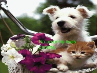 No amor há mais carinho, 