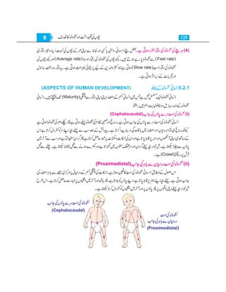 Home economics 9