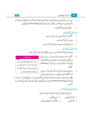 Home economics 9