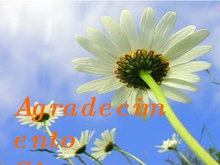 Agradecimento Sincero  