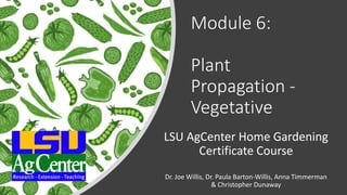 Module 6:
Plant
Propagation -
Vegetative
LSU AgCenter Home Gardening
Certificate Course
Dr. Joe Willis, Dr. Paula Barton-Willis, Anna Timmerman
& Christopher Dunaway
 
