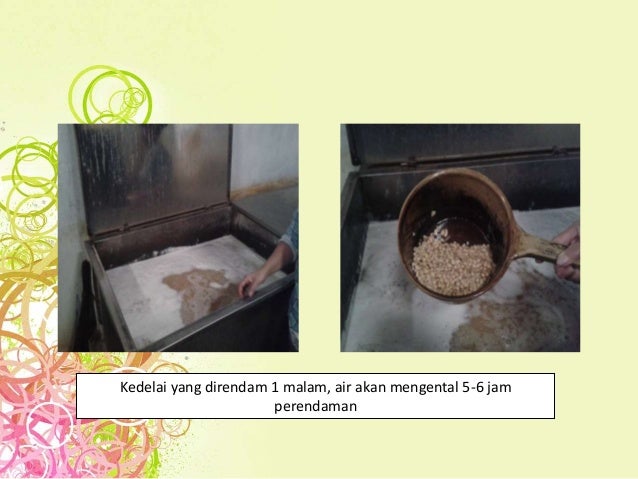 Home industry pembuat tempe