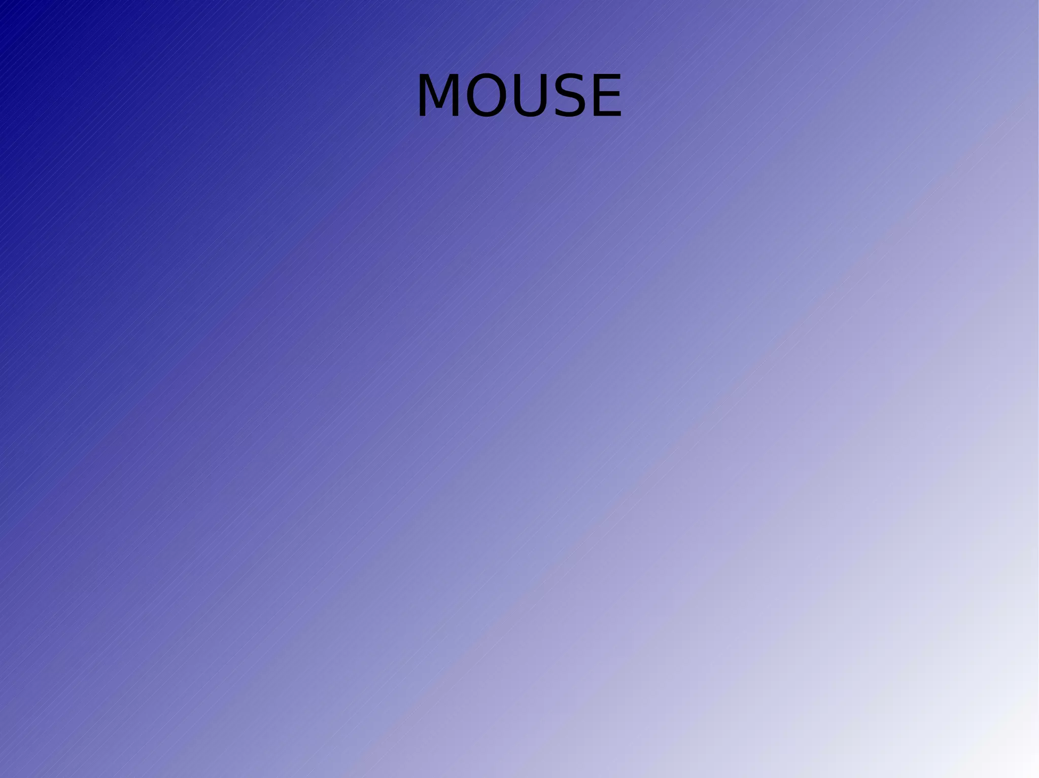 MOUSE 