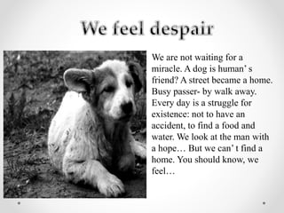 We are not waiting for a
miracle. A dog is human’ s
friend? A street became a home.
Busy passer- by walk away.
Every day is a struggle for
existence: not to have an
accident, to find a food and
water. We look at the man with
a hope… But we can’ t find a
home. You should know, we
feel…
 