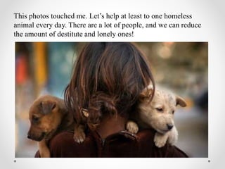 This photos touched me. Let’s help at least to one homeless
animal every day. There are a lot of people, and we can reduce
the amount of destitute and lonely ones!
 