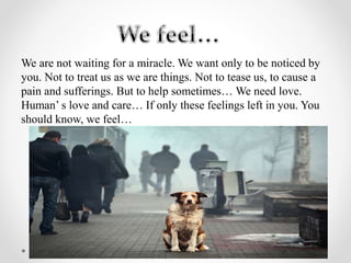 We are not waiting for a miracle. We want only to be noticed by
you. Not to treat us as we are things. Not to tease us, to cause a
pain and sufferings. But to help sometimes… We need love.
Human’ s love and care… If only these feelings left in you. You
should know, we feel…
 